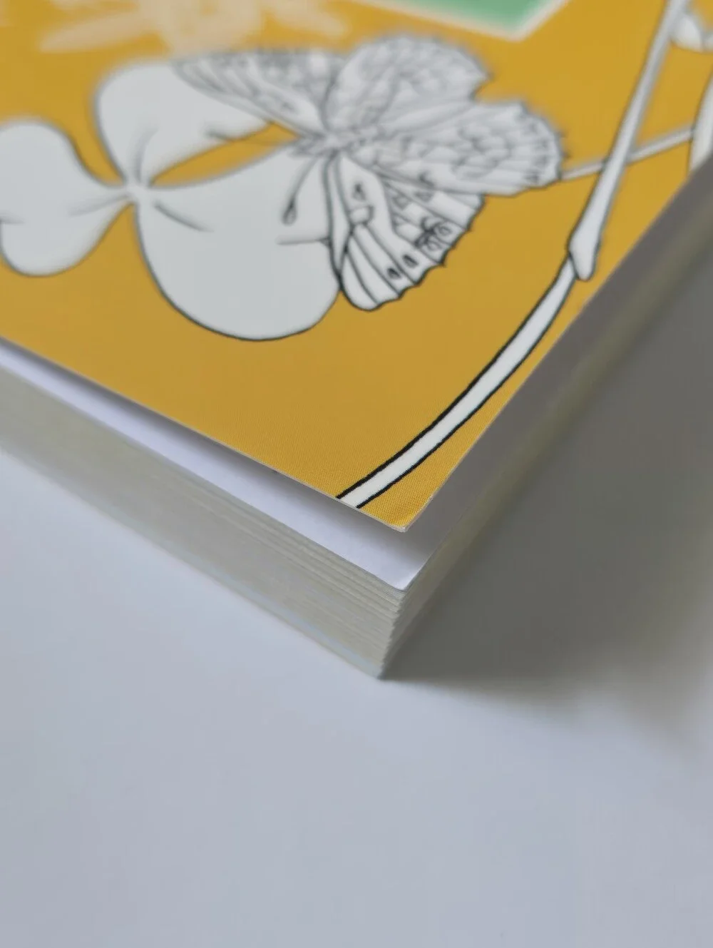 The Beautiful Nature Adult Vintage Coloring Book